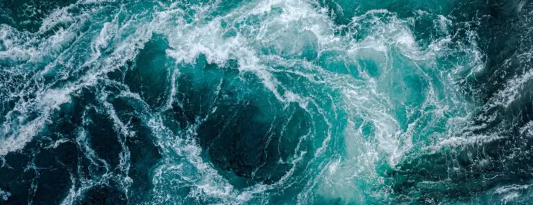 Celebrating World Oceans Day