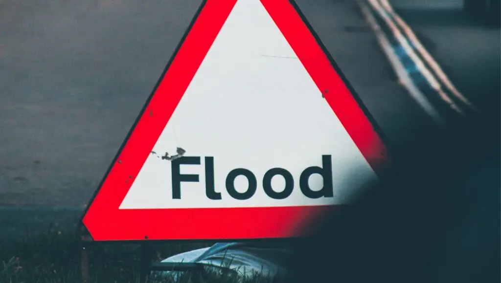 Post Thumbnail Image