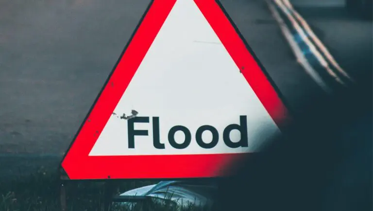 From Reactive to Proactive: The Role Insurers Can Have in Flood Risk Mitigation